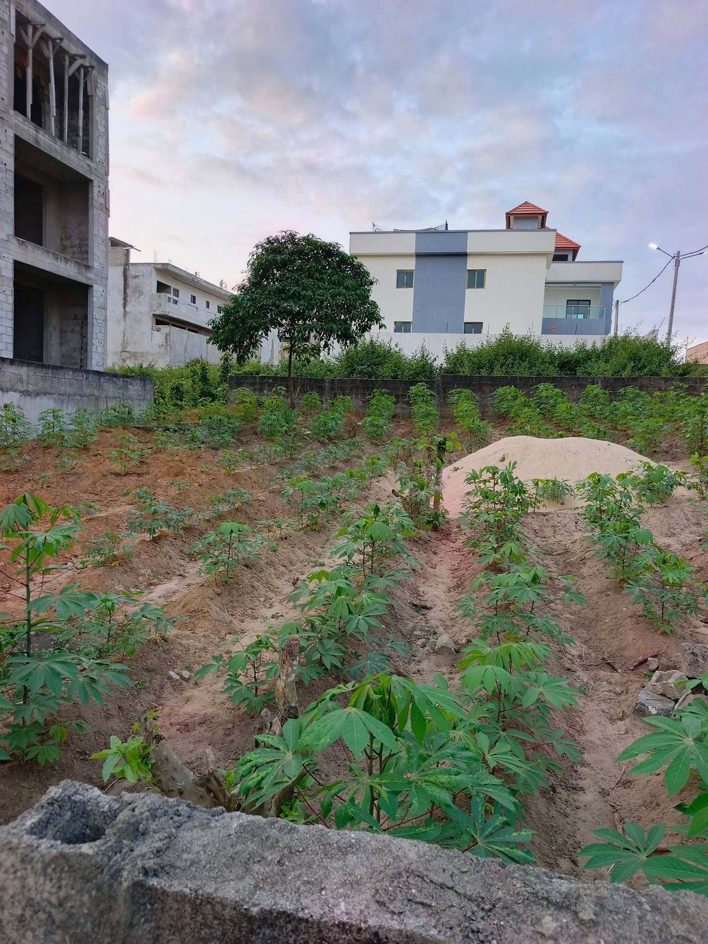 Terrain de 400 m² avec ACD – Cocody Angré Nouveau CHU