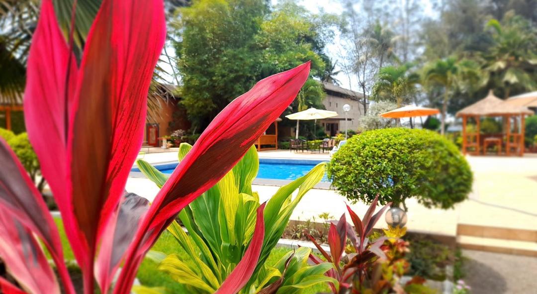 Hôtel-Résidence avec Restaurant et Piscine – Biétry, Bord de Lagune