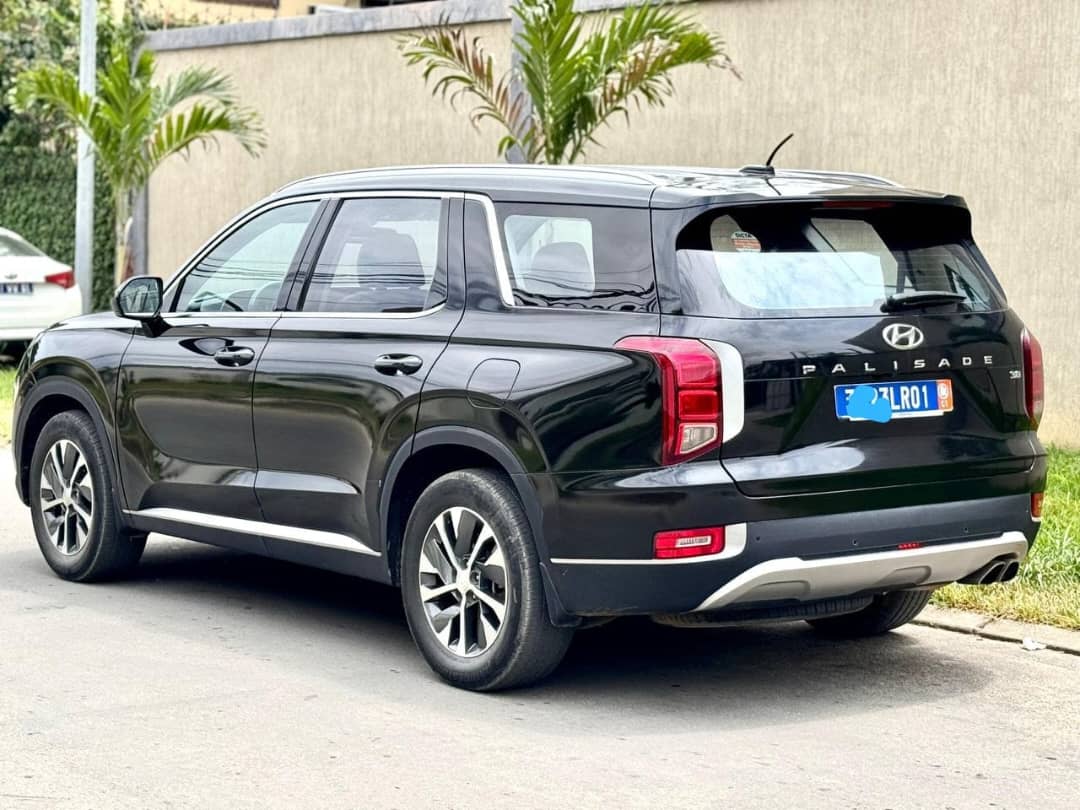 Hyundai Palissade 2023-2024