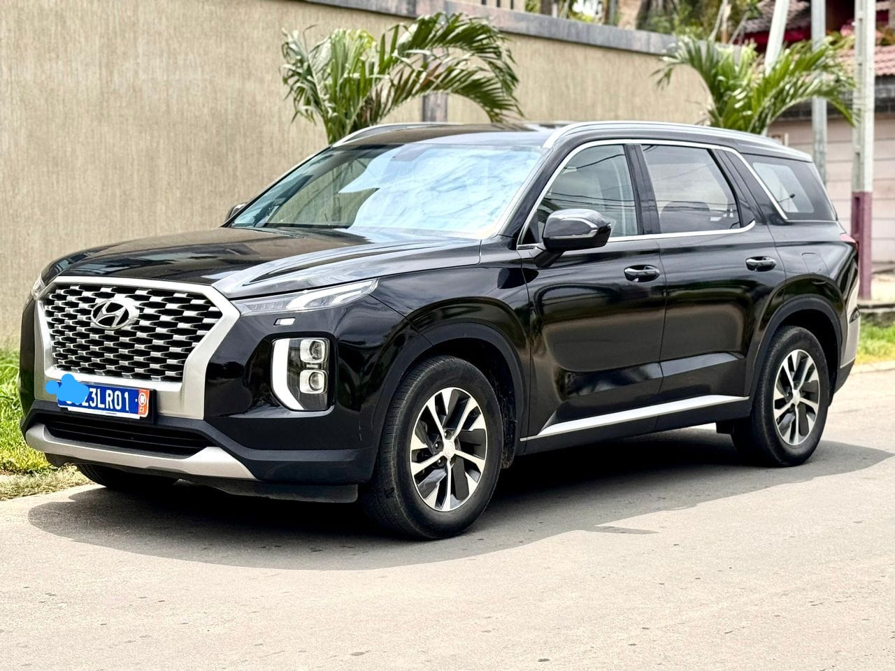 Hyundai Palissade 2023-2024