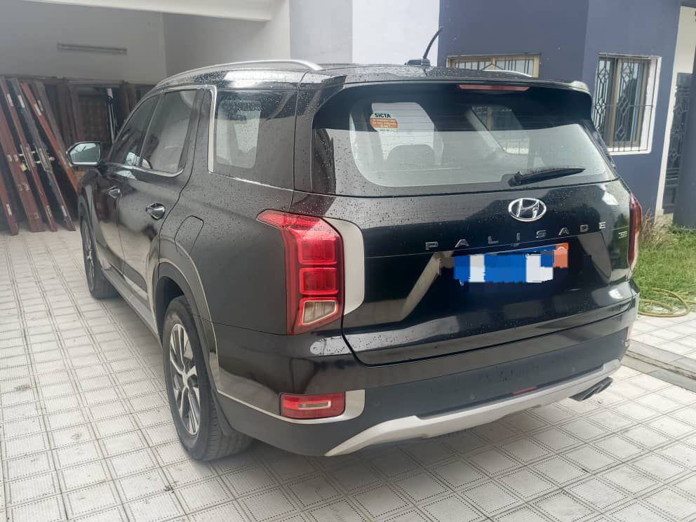 Hyundai Palissade 2023-2024