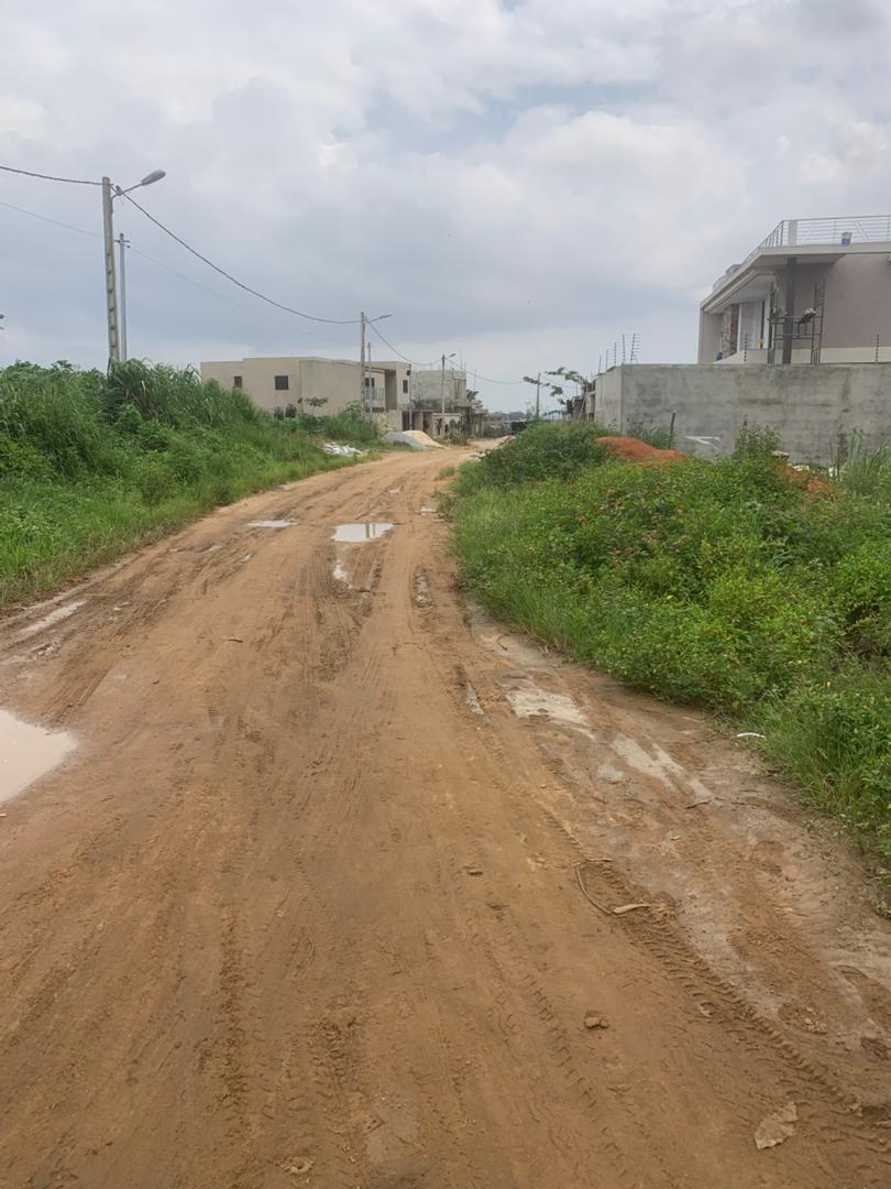 Terrain Approuvé de 500 m² à Bingerville-Adjin pour Seulement 8 Millions FCFA !