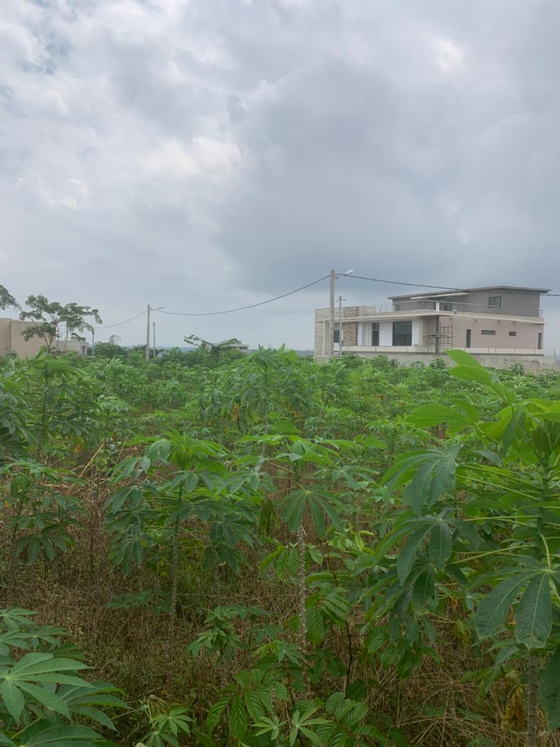 Terrain Approuvé de 500 m² à Bingerville-Adjin pour Seulement 8 Millions FCFA !