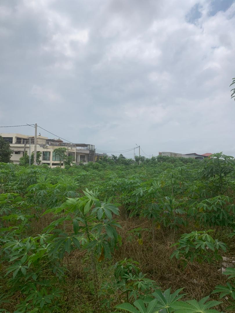 Terrain Approuvé de 500 m² à Bingerville-Adjin pour Seulement 8 Millions FCFA !