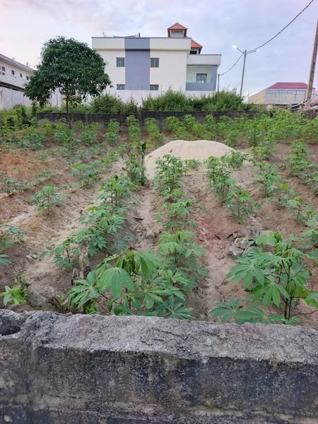 Terrain de 400 m² avec ACD – Cocody Angré Nouveau CHU