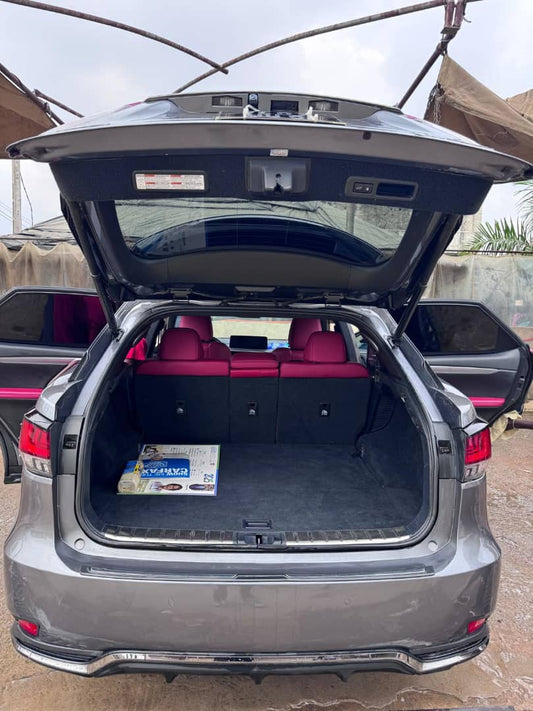 Lexus RX450H+(HYBRIDE) Année 2024- 2025