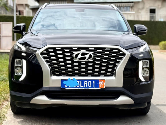 Hyundai Palissade 2023-2024