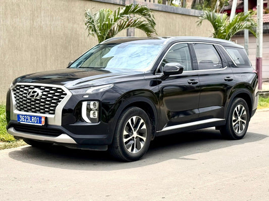 Hyundai Palissade 2023-2024