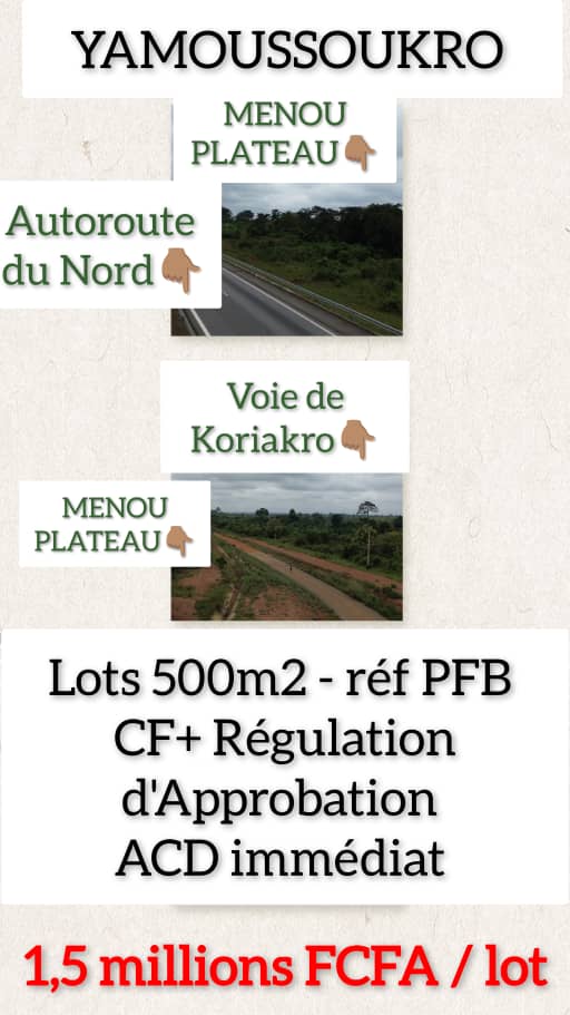 Terrains à vendre à Yamoussoukro – Lots de 500 m² à partir de 1,5 million FCFA