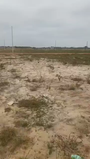 Terrain 500 m² – ACD, Nouvelle Autoroute Assinie (Bassam) — 35 000 000 FCFA