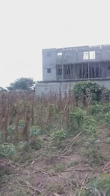 Terrain 530 m² – Songon (Institut Pasteur)
